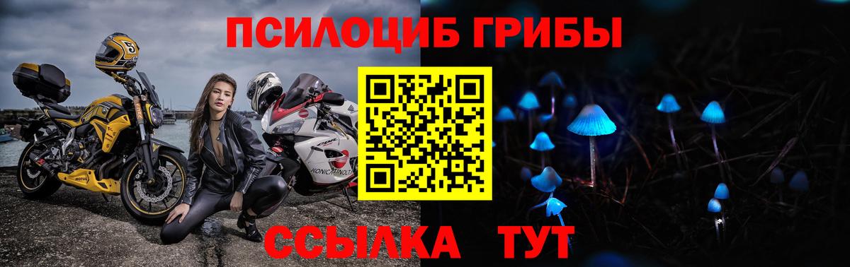 Псилоцибиновые грибы GOLDEN TEACHER Искитим